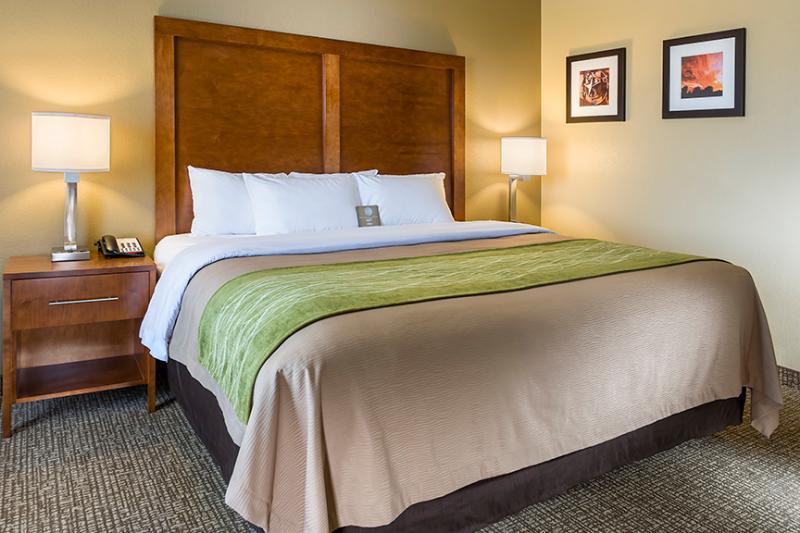 Comfort Inn & Suites Snyder Extérieur photo