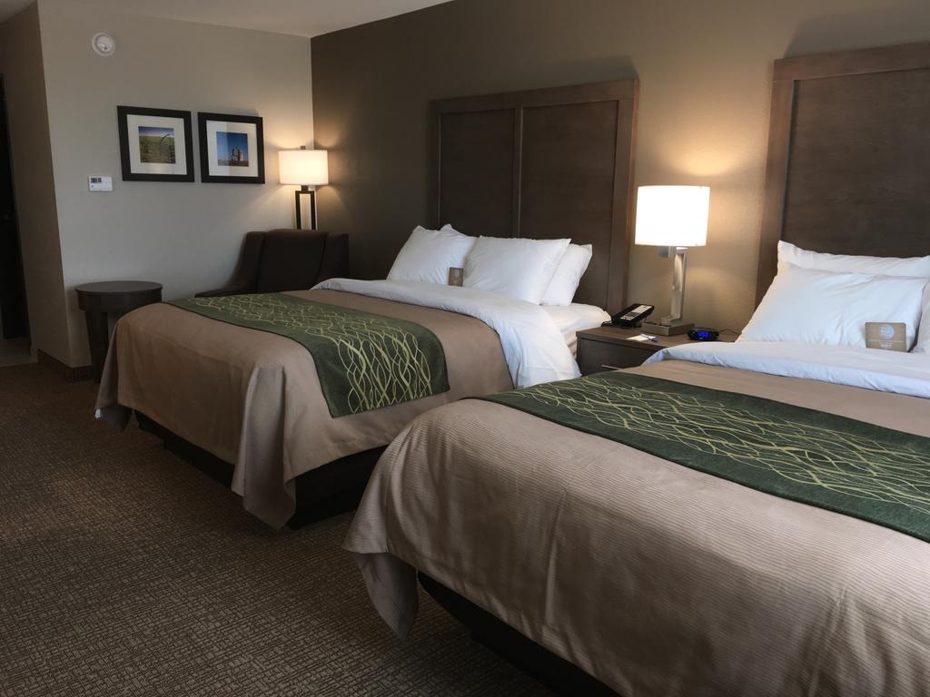 Comfort Inn & Suites Snyder Extérieur photo