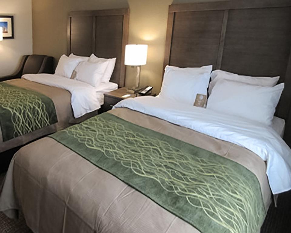 Comfort Inn & Suites Snyder Extérieur photo