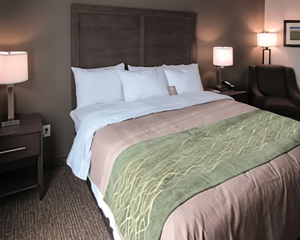 Comfort Inn & Suites Snyder Extérieur photo
